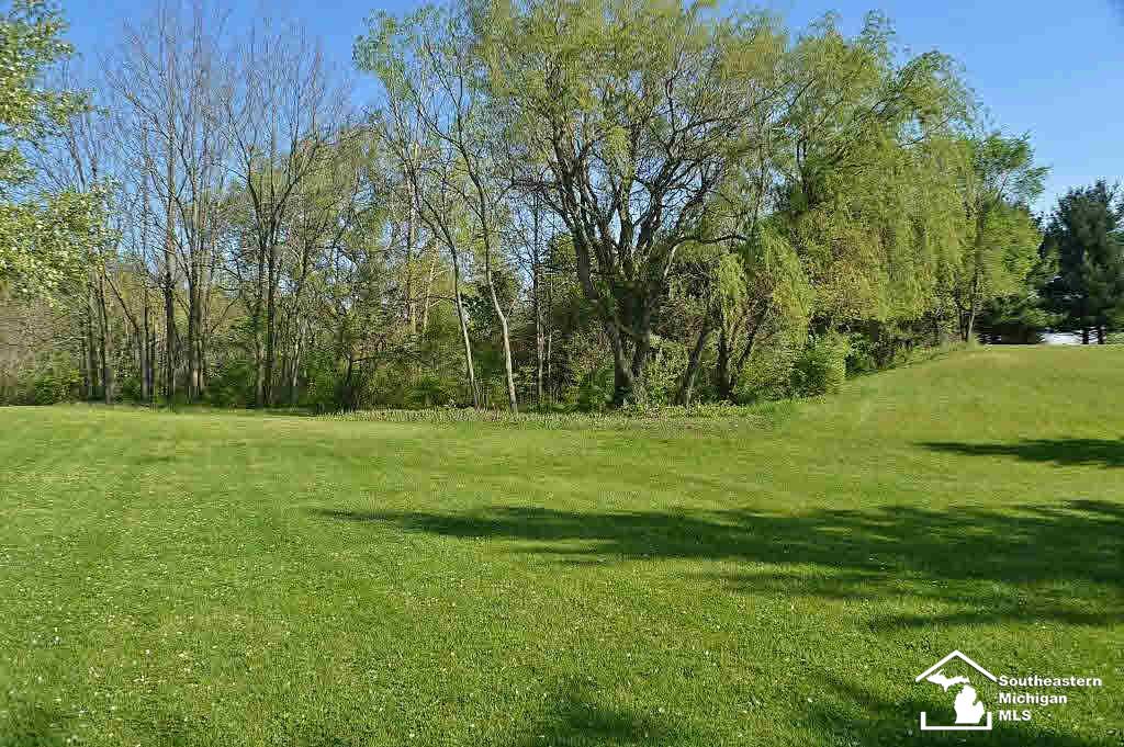13102 Todd Road Ida, MI 48140 - Photo 7 of 22