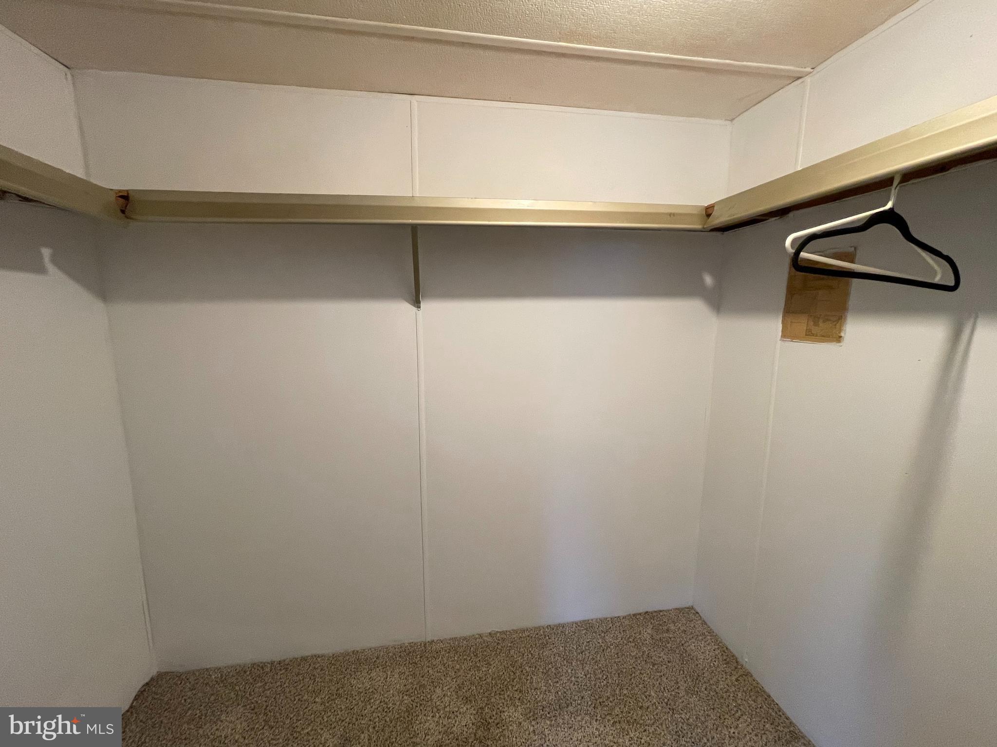 501 Windy Hill Road, Unit 153 Shermans Dale, PA 17090 - Photo 16 of 27 master bedroom walk in closet