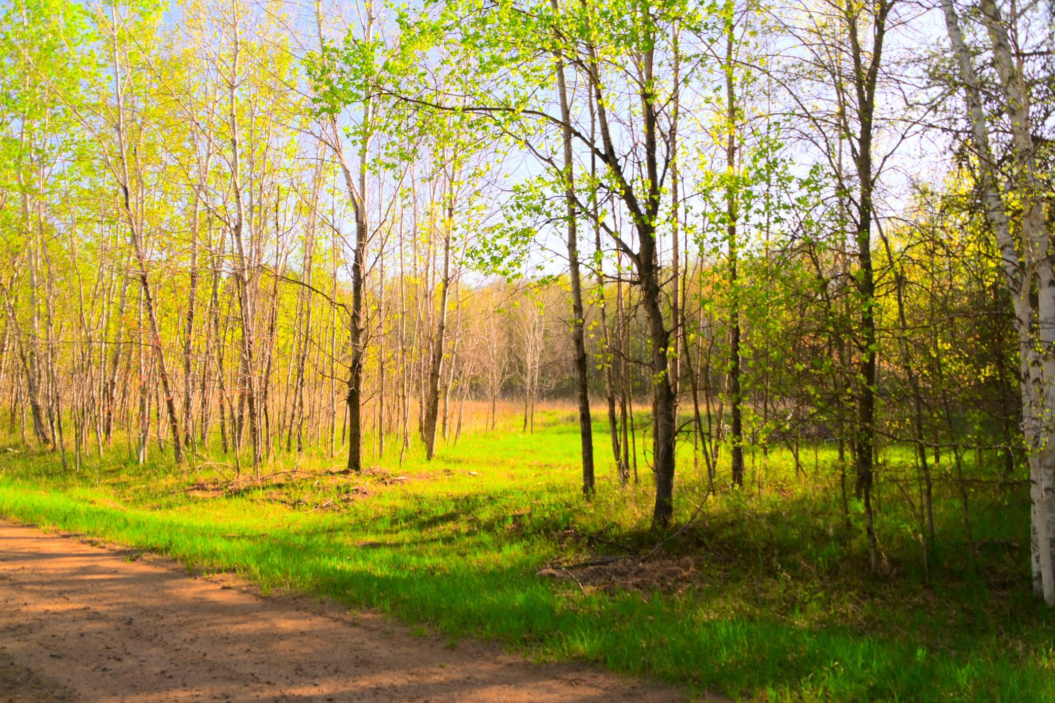 27705 Oberon Loop Browerville, MN 56438 - Photo 13 of 39
