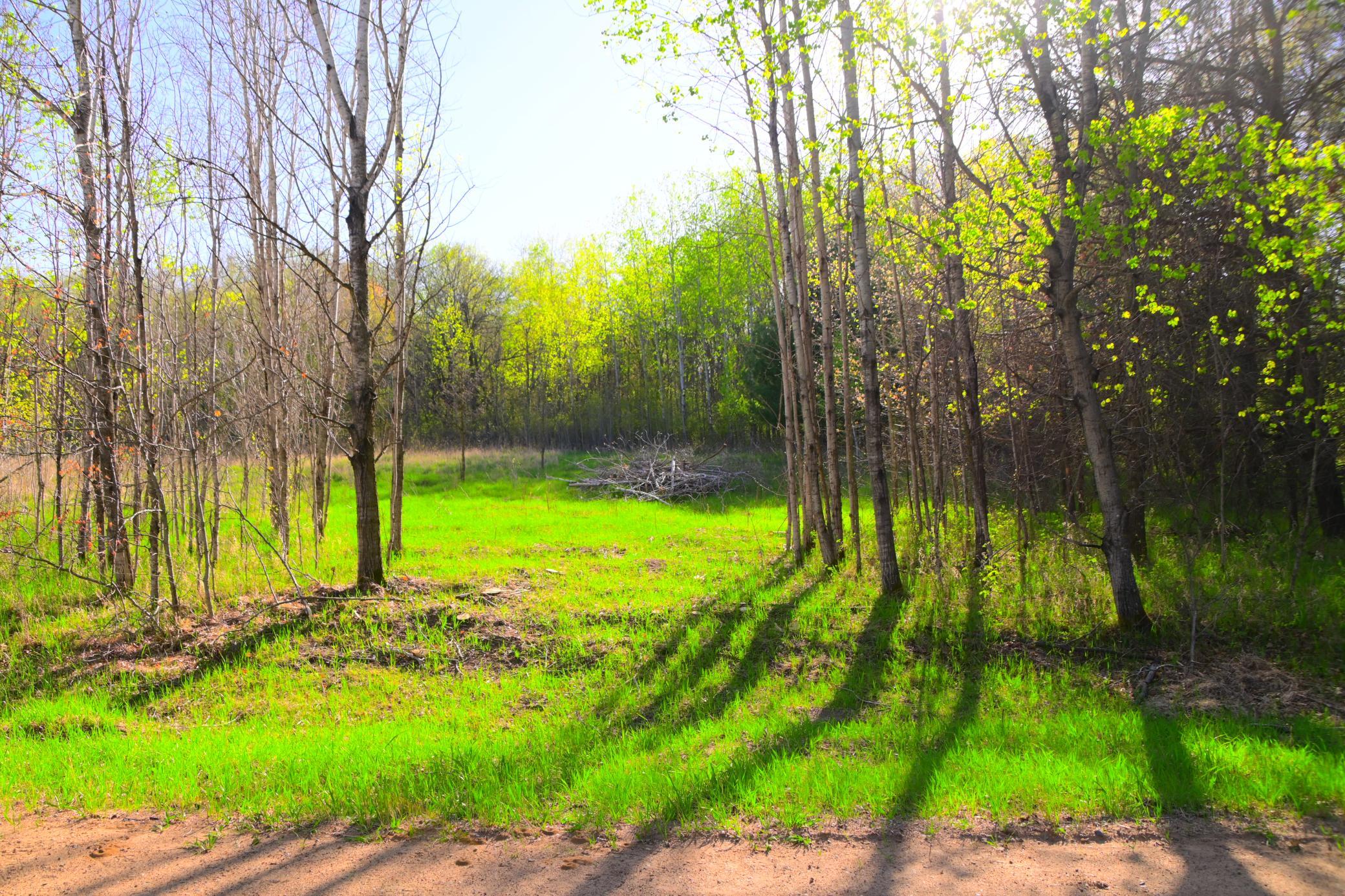 27705 Oberon Loop Browerville, MN 56438 - Photo 14 of 39