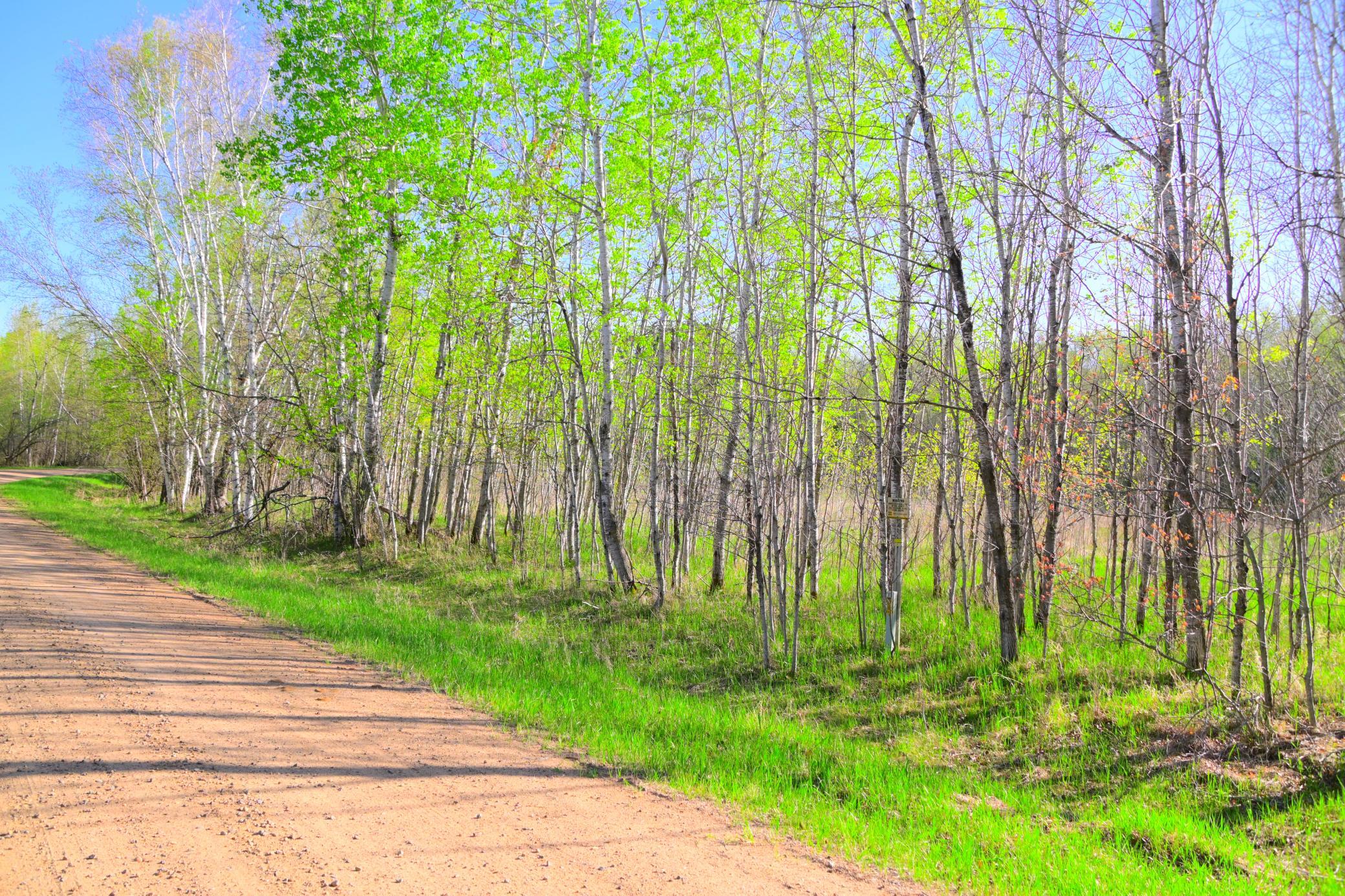 27705 Oberon Loop Browerville, MN 56438 - Photo 15 of 39