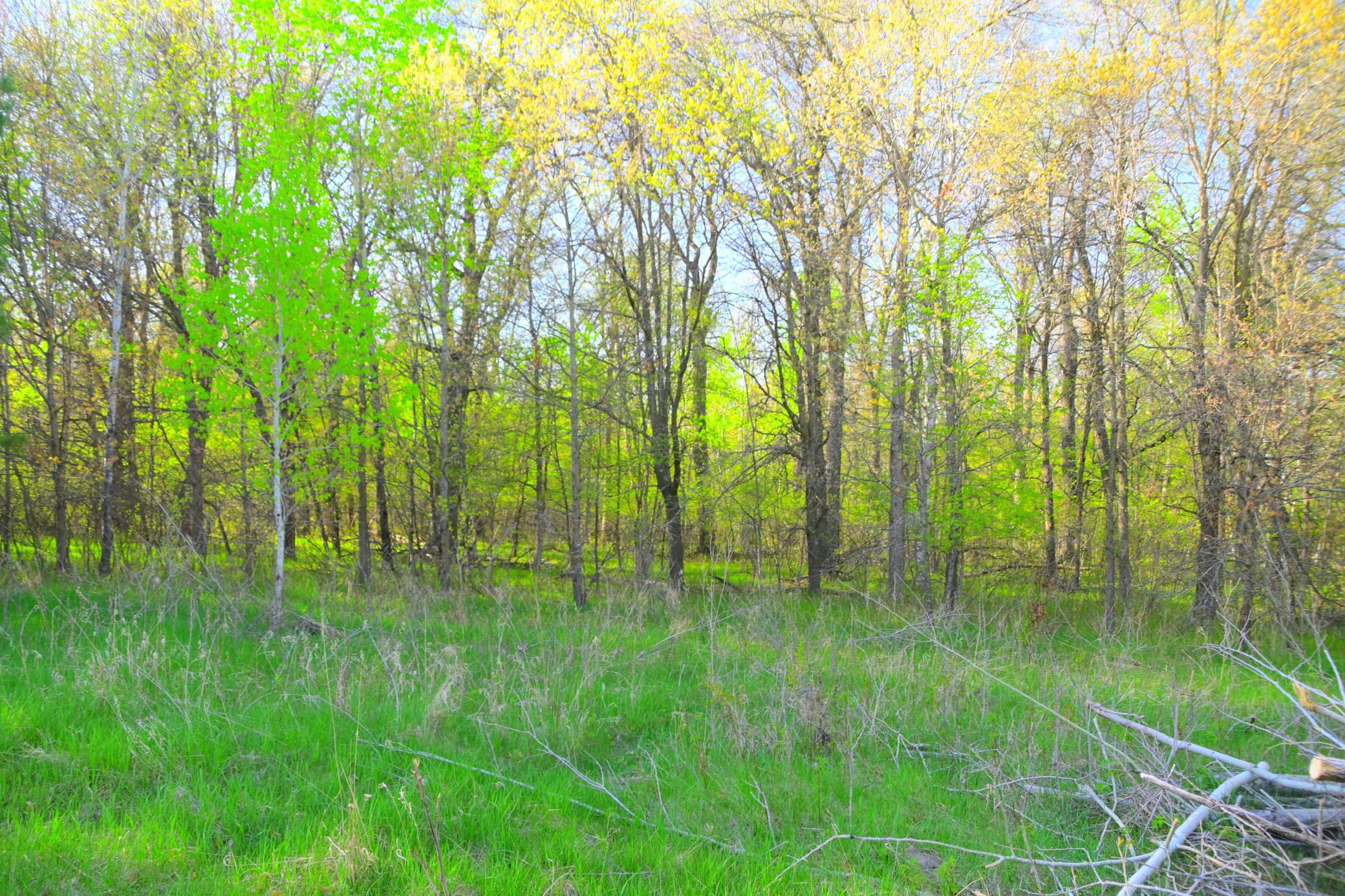 27705 Oberon Loop Browerville, MN 56438 - Photo 18 of 39