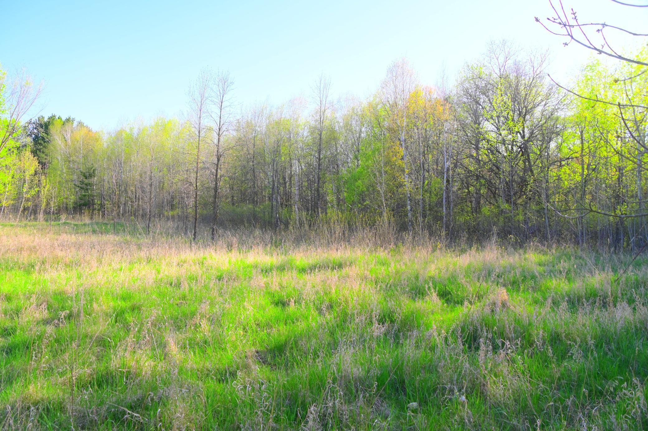 27705 Oberon Loop Browerville, MN 56438 - Photo 20 of 39