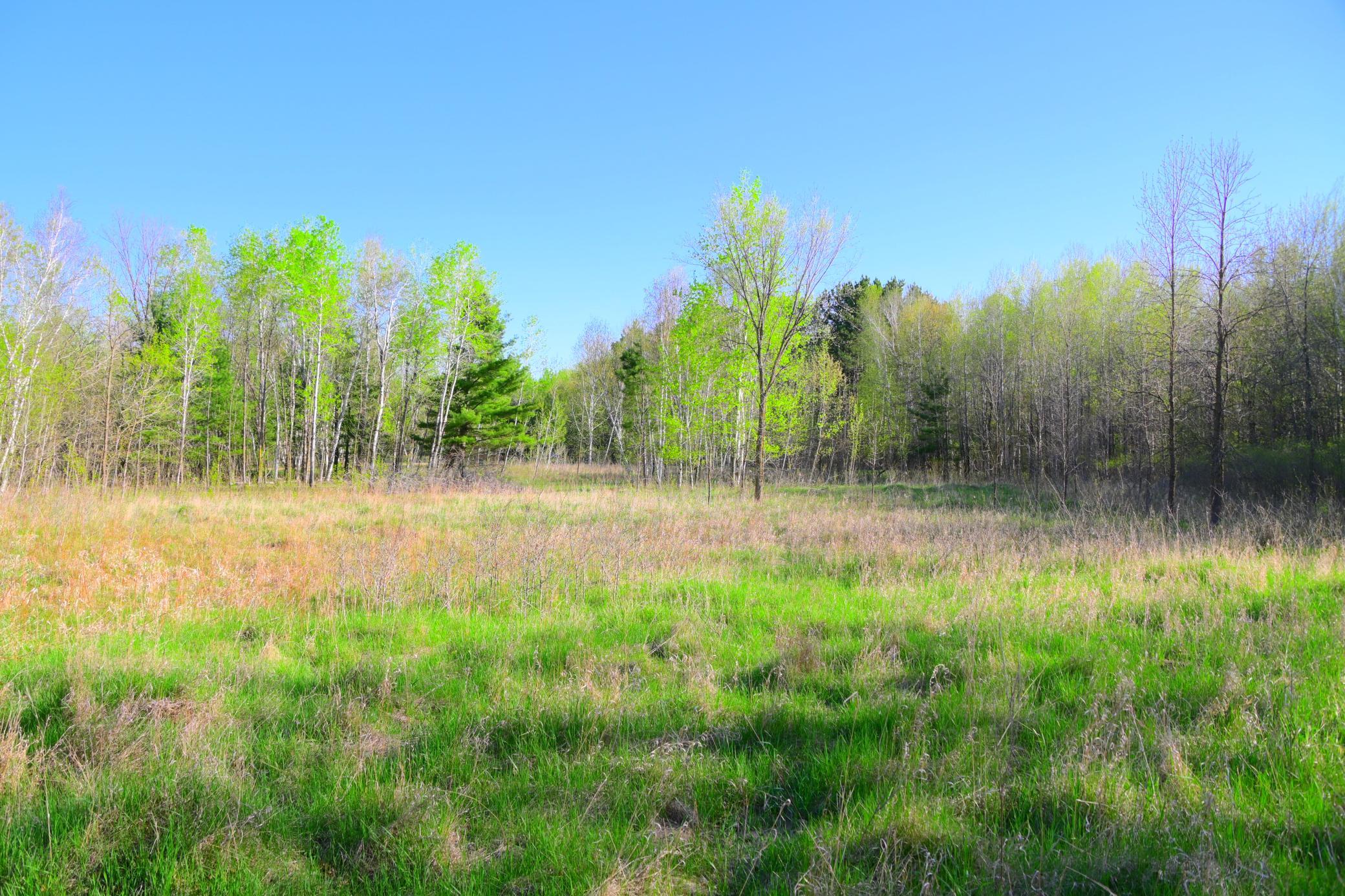 27705 Oberon Loop Browerville, MN 56438 - Photo 21 of 39
