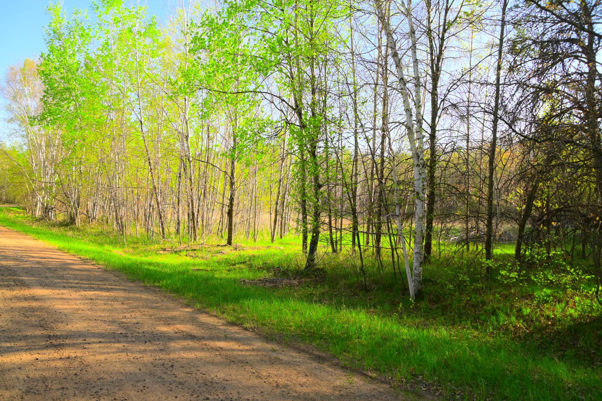 27705 Oberon Loop Browerville, MN 56438 - Photo 23 of 39