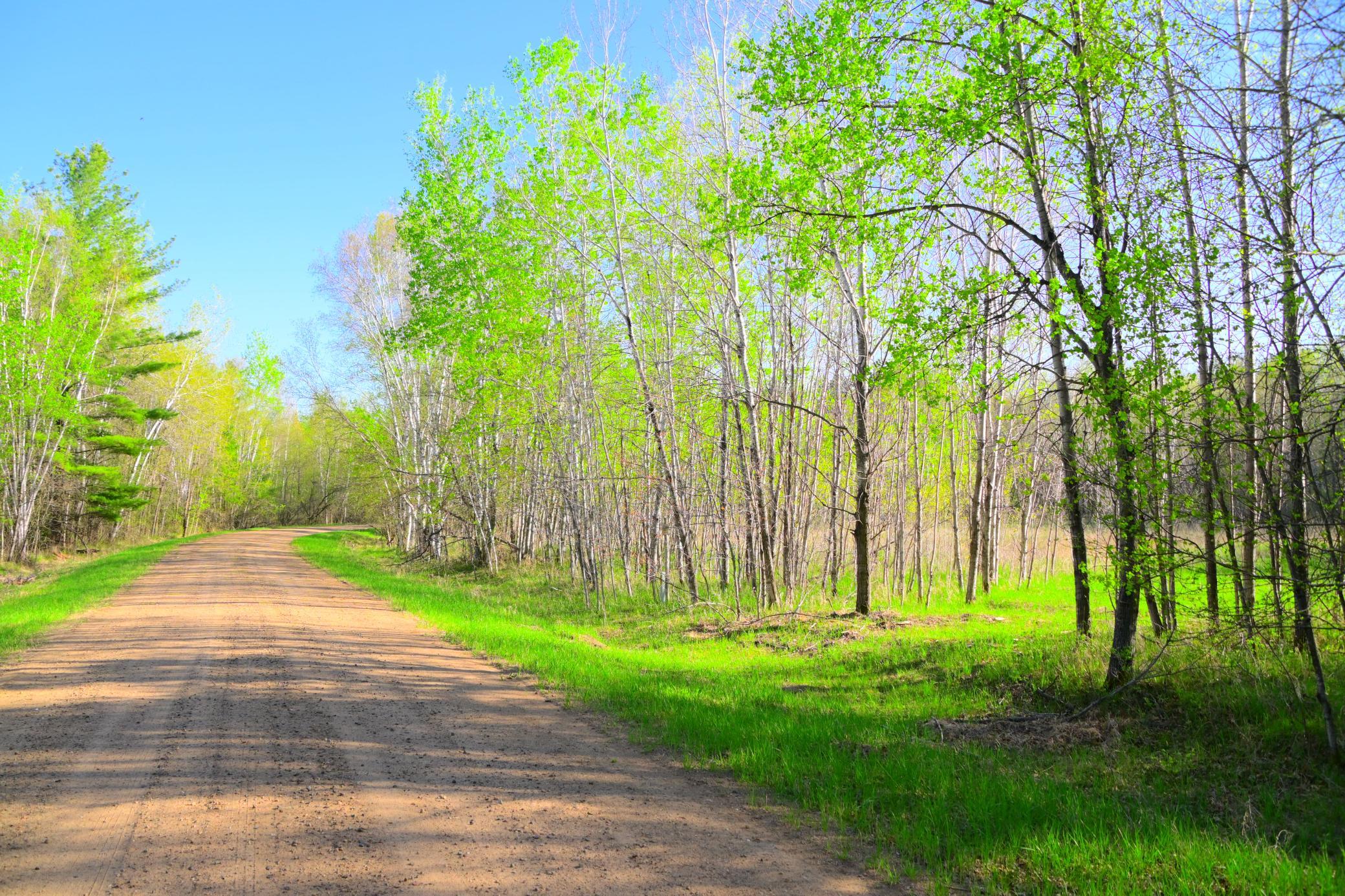 27705 Oberon Loop Browerville, MN 56438 - Photo 24 of 39