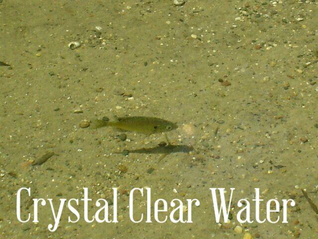 27705 Oberon Loop Browerville, MN 56438 - Photo 37 of 39