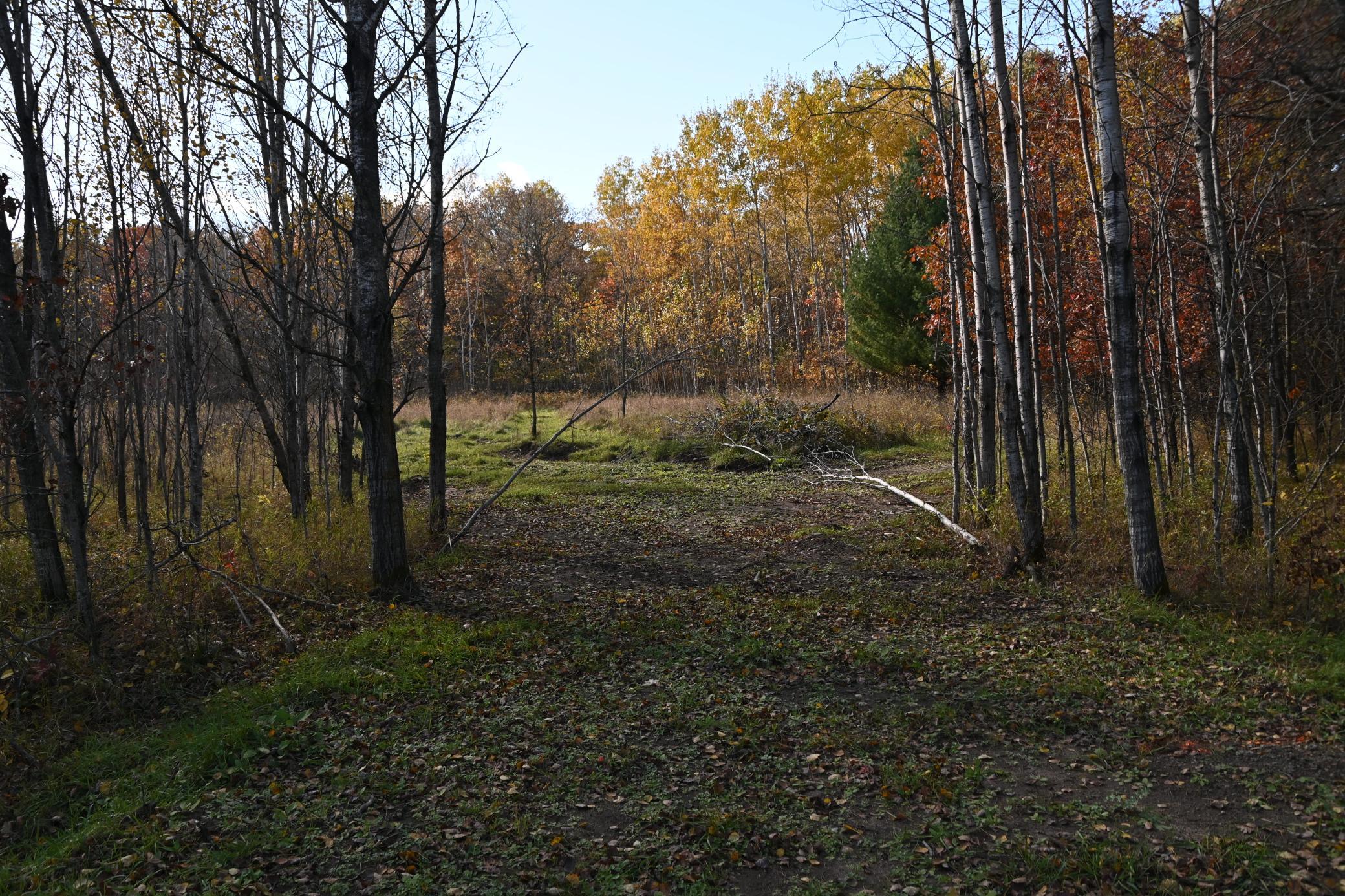 27705 Oberon Loop Browerville, MN 56438 - Photo 4 of 39