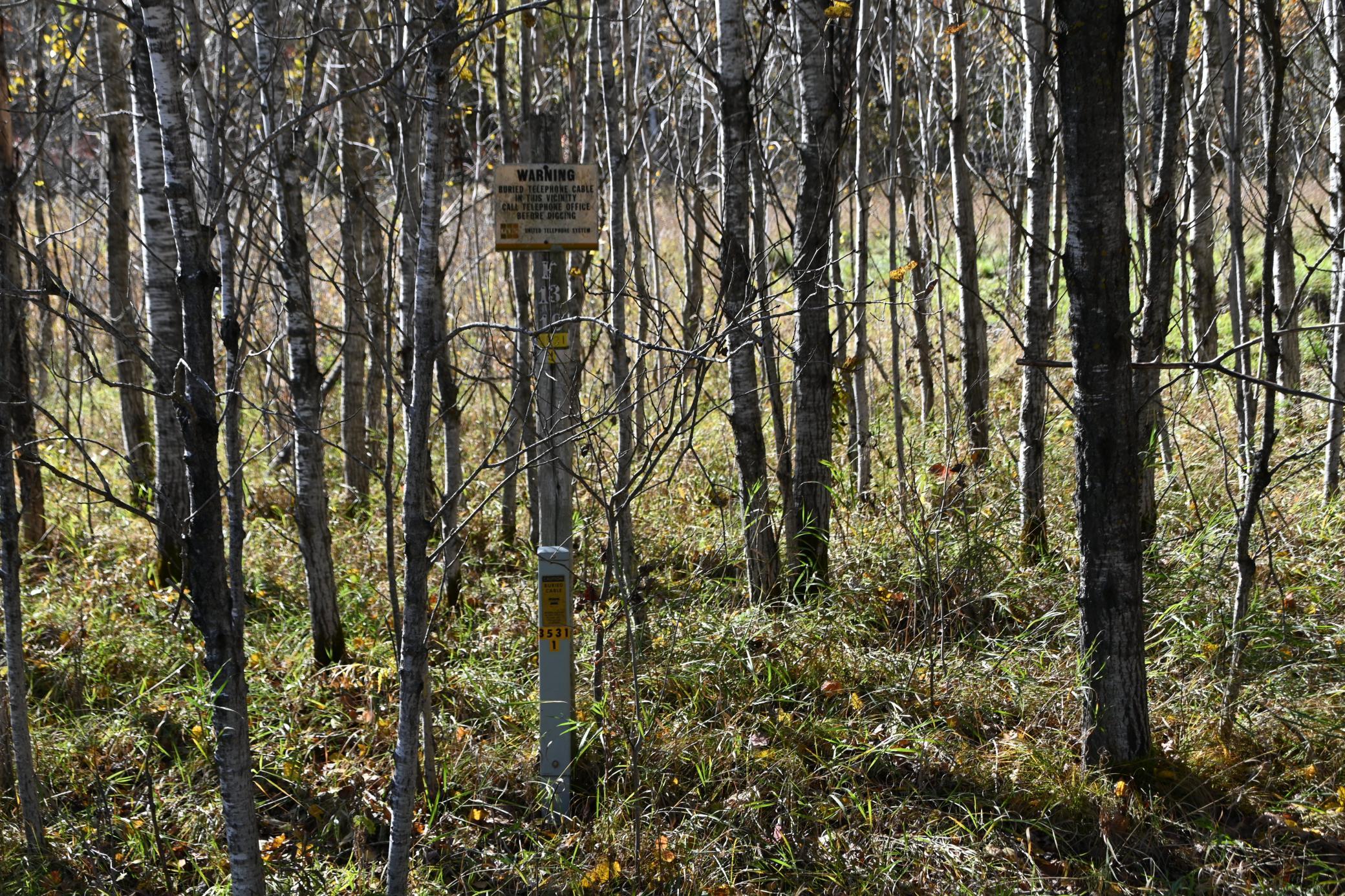 27705 Oberon Loop Browerville, MN 56438 - Photo 6 of 39