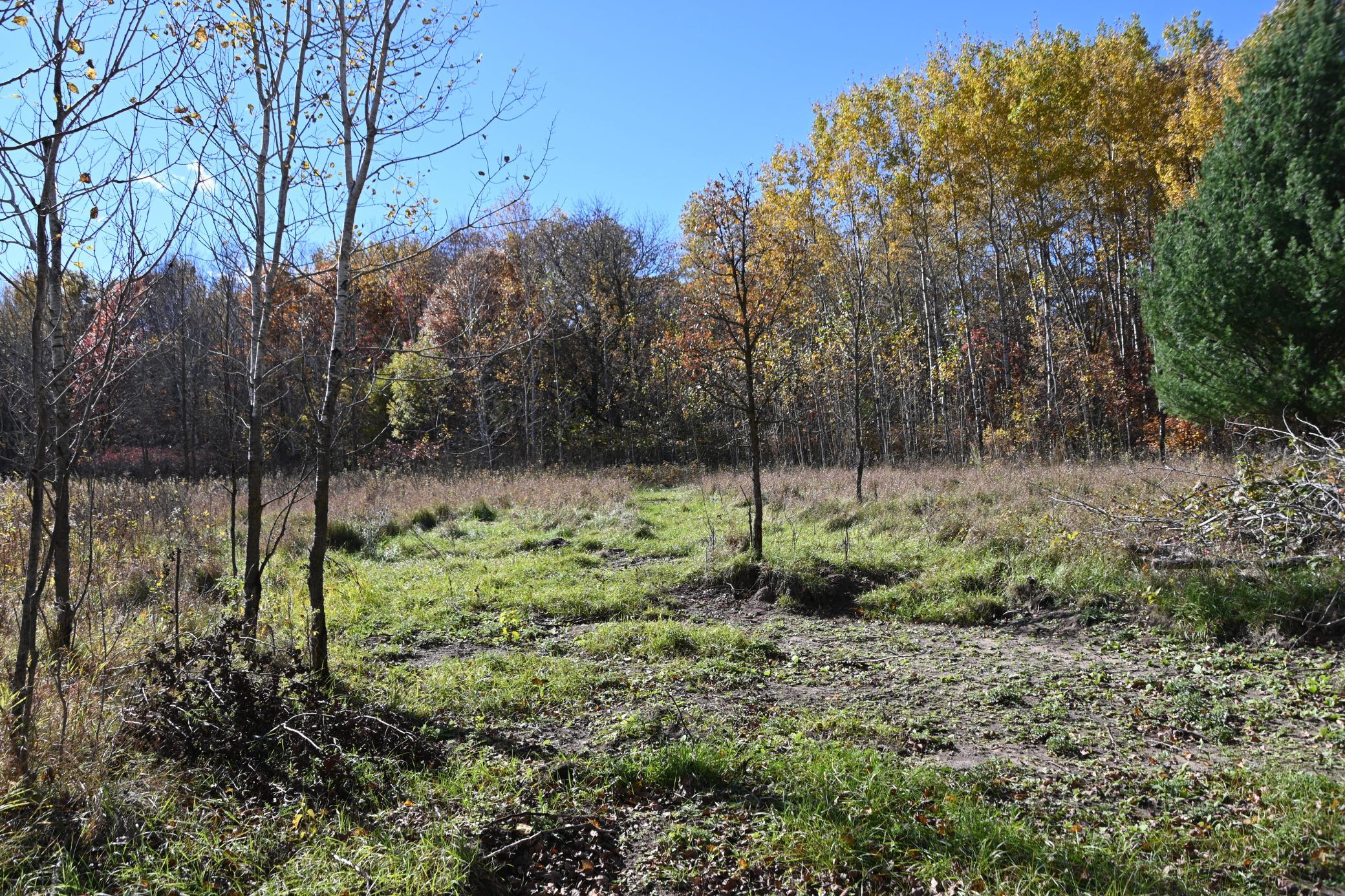 27705 Oberon Loop Browerville, MN 56438 - Photo 7 of 39