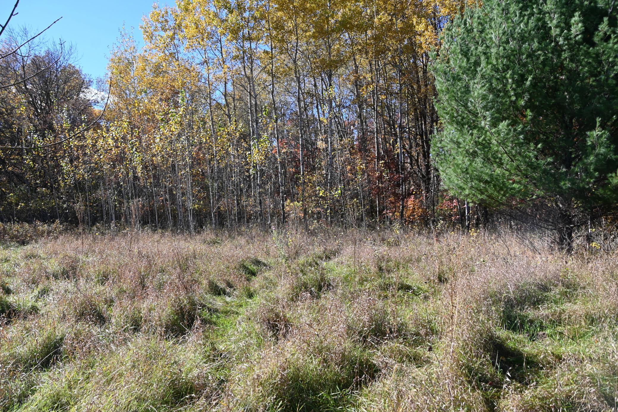 27705 Oberon Loop Browerville, MN 56438 - Photo 9 of 39