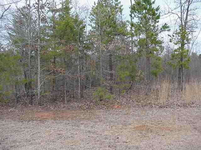 0 Davis Creek Road Seneca, SC 29678 - Photo 1 of 1