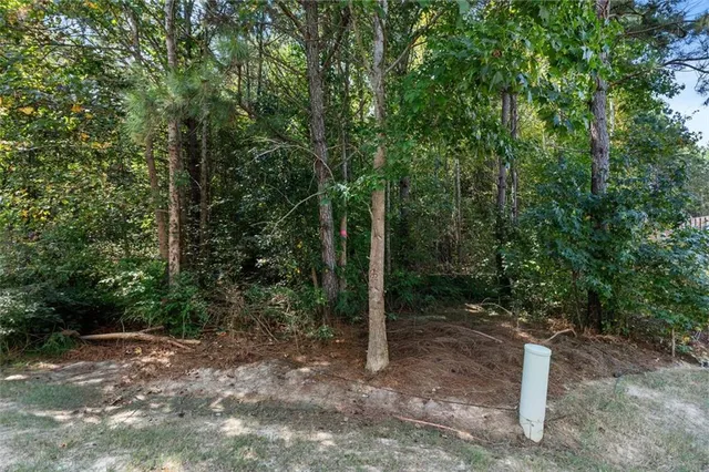 a view of a forest with trees