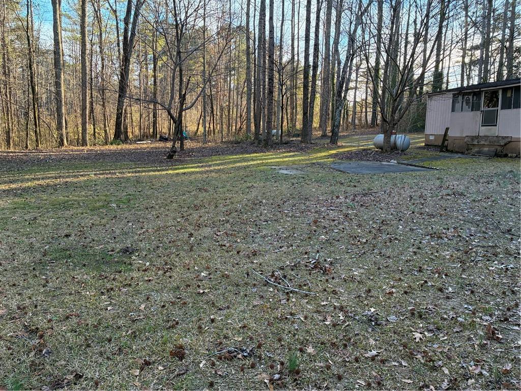 208 Manors Mill Road Dallas, GA 30157 - Photo 18 of 26 a backyard of a house with large trees