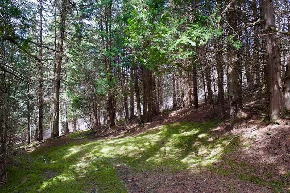 1736 Halls Stream Road, Unit LOT # 36 Pittsburg, NH 03592 - Photo 1 of 27 Gallery Image 1