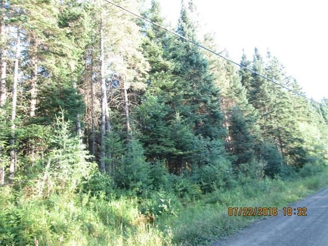 1736 Halls Stream Road, Unit LOT # 36 Pittsburg, NH 03592 - Photo 3 of 27 Gallery Image 3
