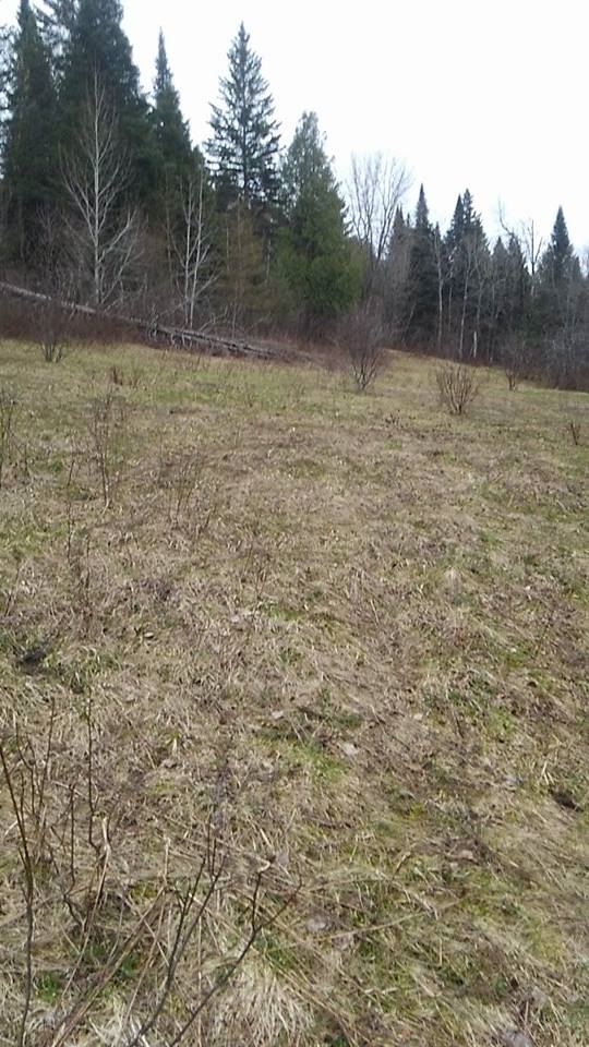 1736 Halls Stream Road, Unit LOT # 36 Pittsburg, NH 03592 - Photo 22 of 27 Gallery Image 22
