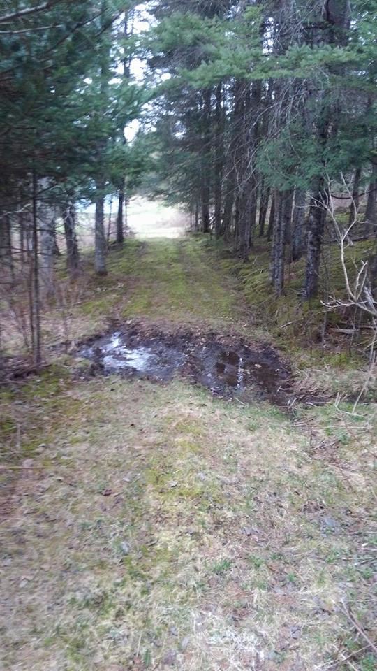 1736 Halls Stream Road, Unit LOT # 36 Pittsburg, NH 03592 - Photo 23 of 27 Gallery Image 23