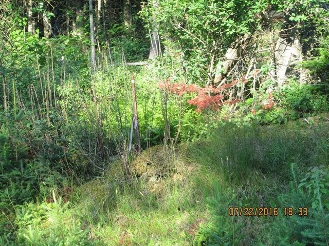 1736 Halls Stream Road, Unit LOT # 36 Pittsburg, NH 03592 - Photo 4 of 27 Gallery Image 4