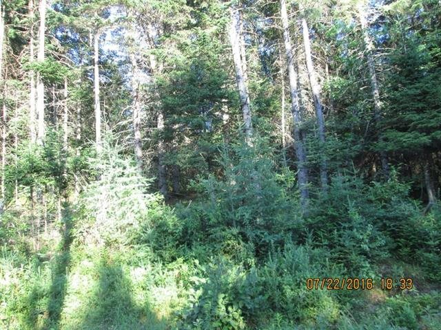 1736 Halls Stream Road, Unit LOT # 36 Pittsburg, NH 03592 - Photo 5 of 27 Gallery Image 5
