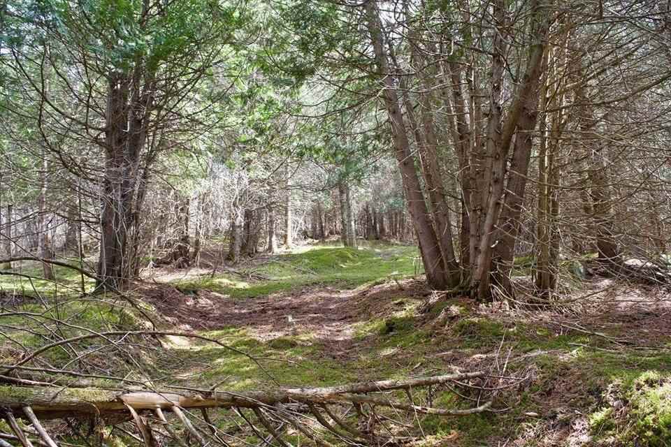 1736 Halls Stream Road, Unit LOT # 36 Pittsburg, NH 03592 - Photo 7 of 27 Gallery Image 7