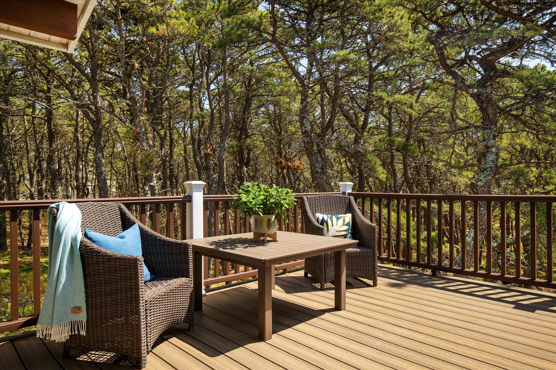 180 King Phillip Road Wellfleet, MA 02667 - Photo 23 of 54 38-MG_8015-r