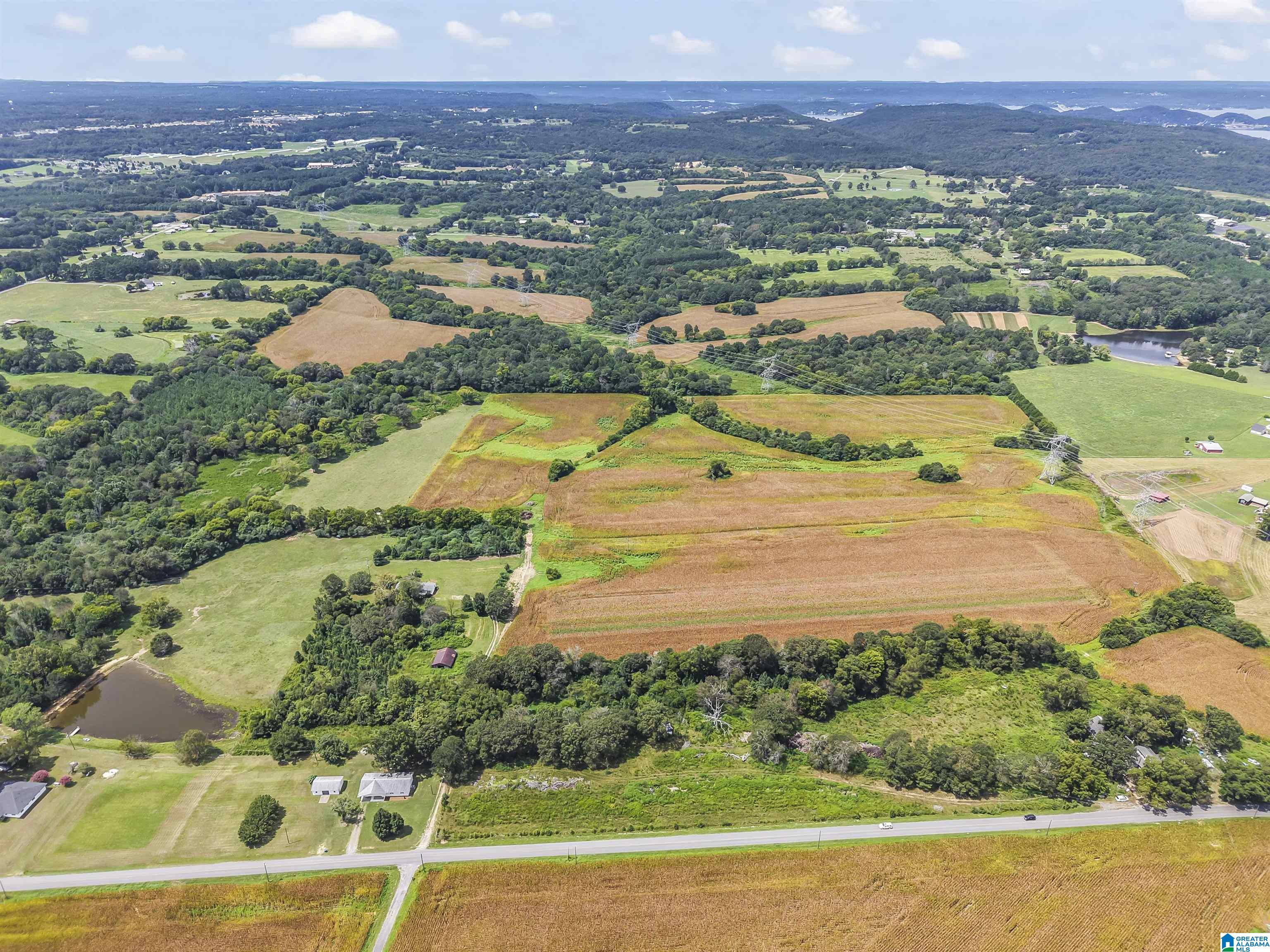 2649 Rice Mill Chavers Road Albertville, AL 35951 - Photo 12 of 51