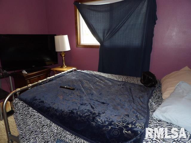 35 Victoria Ann Road Carrier Mills, IL 62917 - Photo 12 of 14 Gallery Image 12