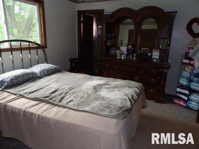 35 Victoria Ann Road Carrier Mills, IL 62917 - Photo 8 of 14 Gallery Image 8