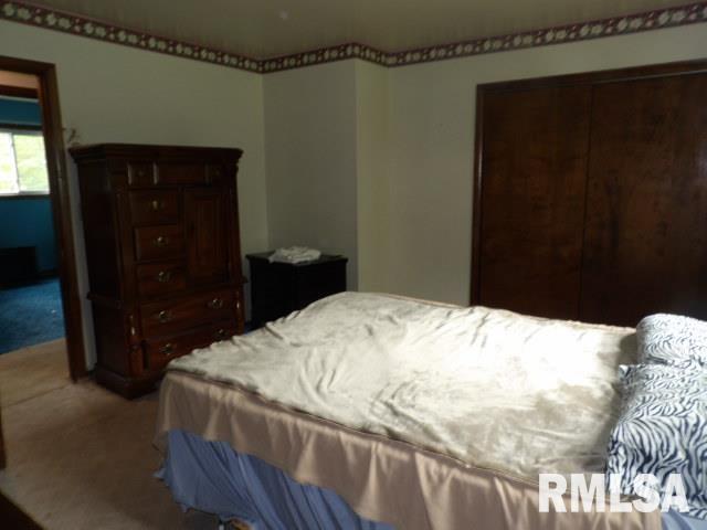 35 Victoria Ann Road Carrier Mills, IL 62917 - Photo 9 of 14 Gallery Image 9