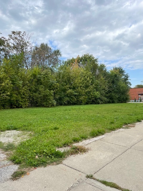 201 West 111th Street Chicago, IL 60628 - Photo 3 of 7