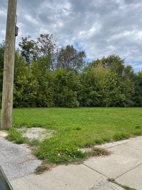 201 West 111th Street Chicago, IL 60628 - Photo 4 of 7
