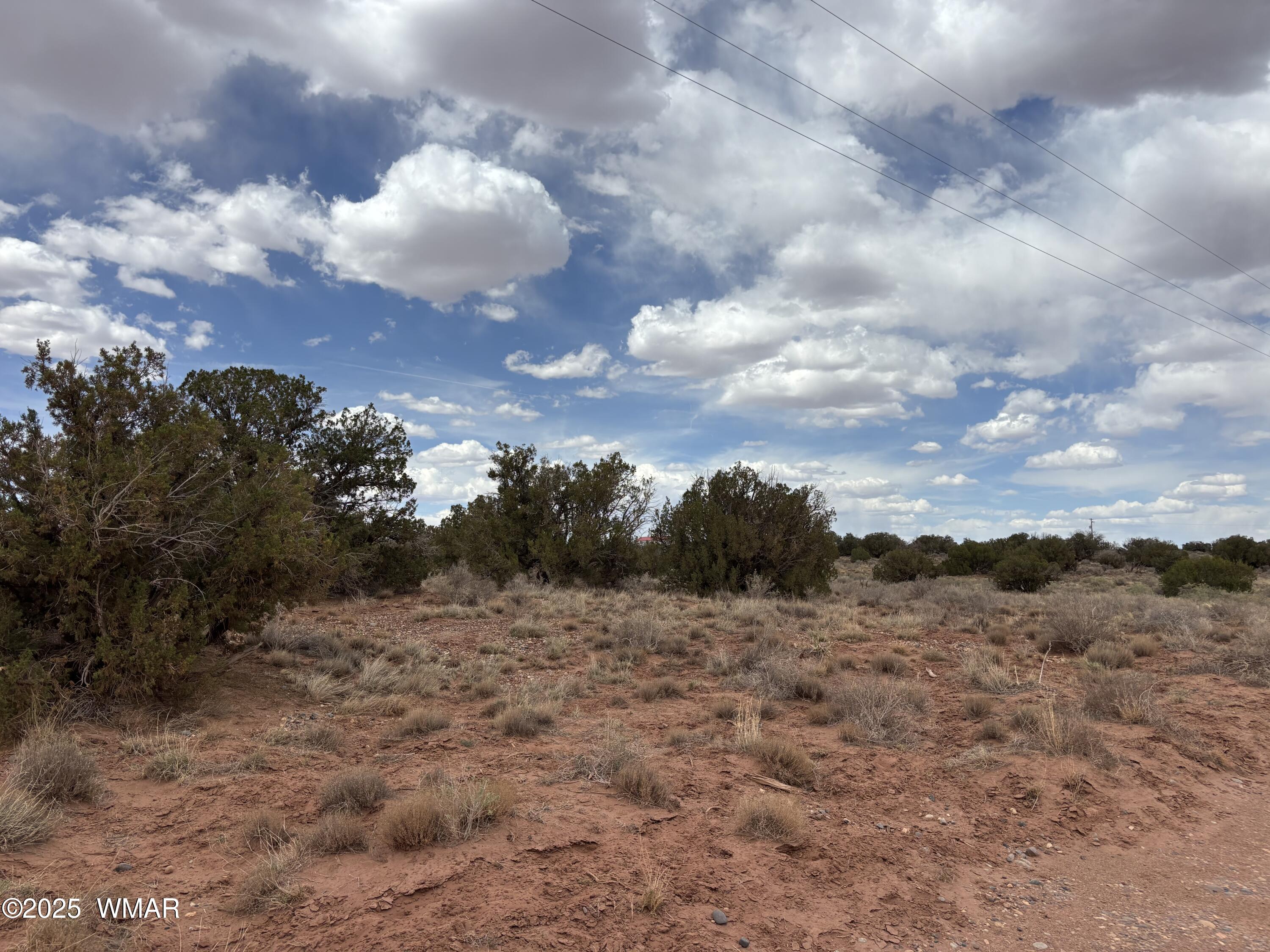 5233 Concho Ocho Road Snowflake, AZ 85937 - Photo 13 of 19 a view of a dry yard with lots of trees