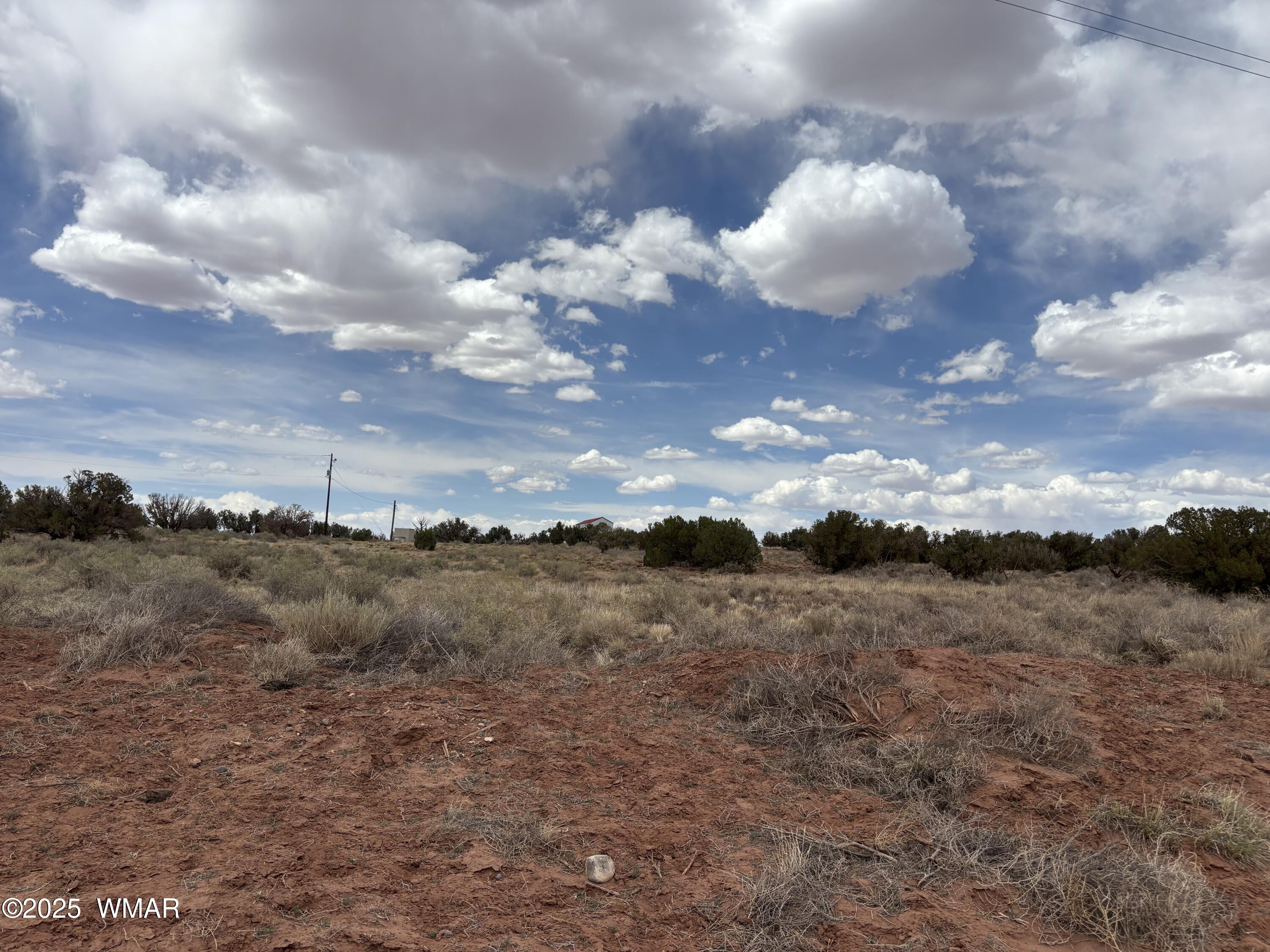 5233 Concho Ocho Road Snowflake, AZ 85937 - Photo 14 of 19 a view of a lot of trees in all around