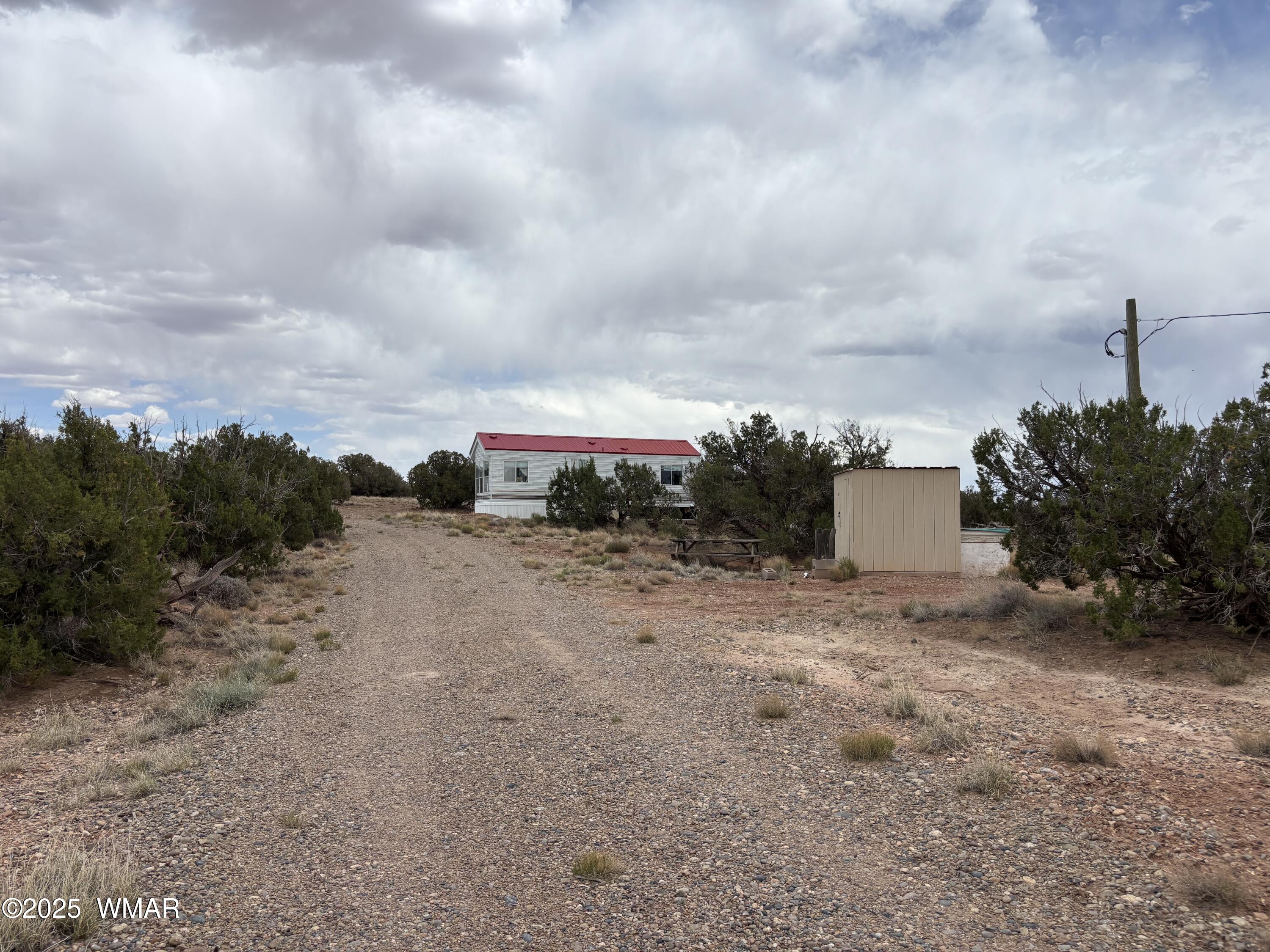 5233 Concho Ocho Road Snowflake, AZ 85937 - Photo 8 of 19 a view of a dry yard with trees
