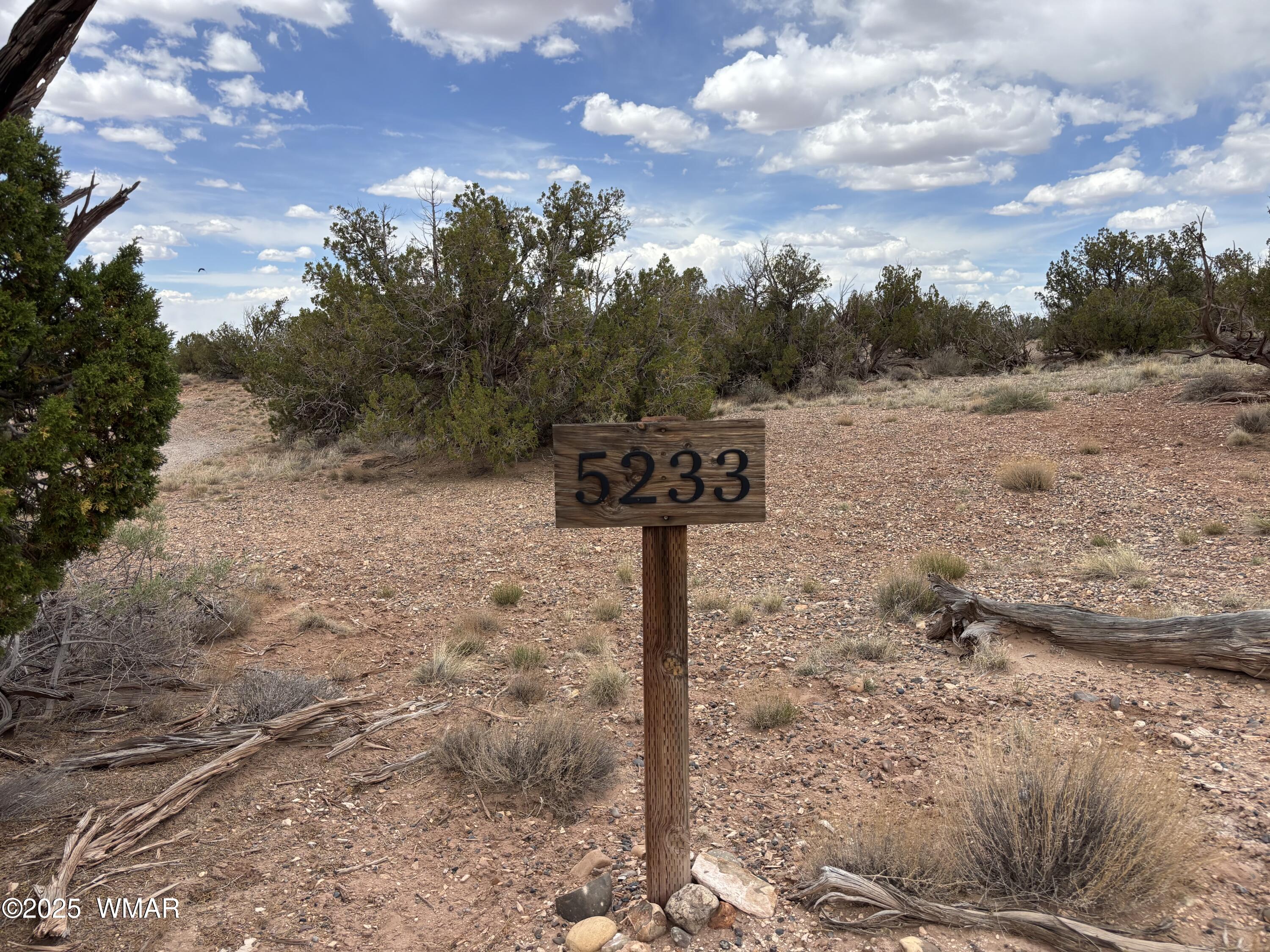 5233 Concho Ocho Road Snowflake, AZ 85937 - Photo 10 of 19 a street sign on a sidewalk