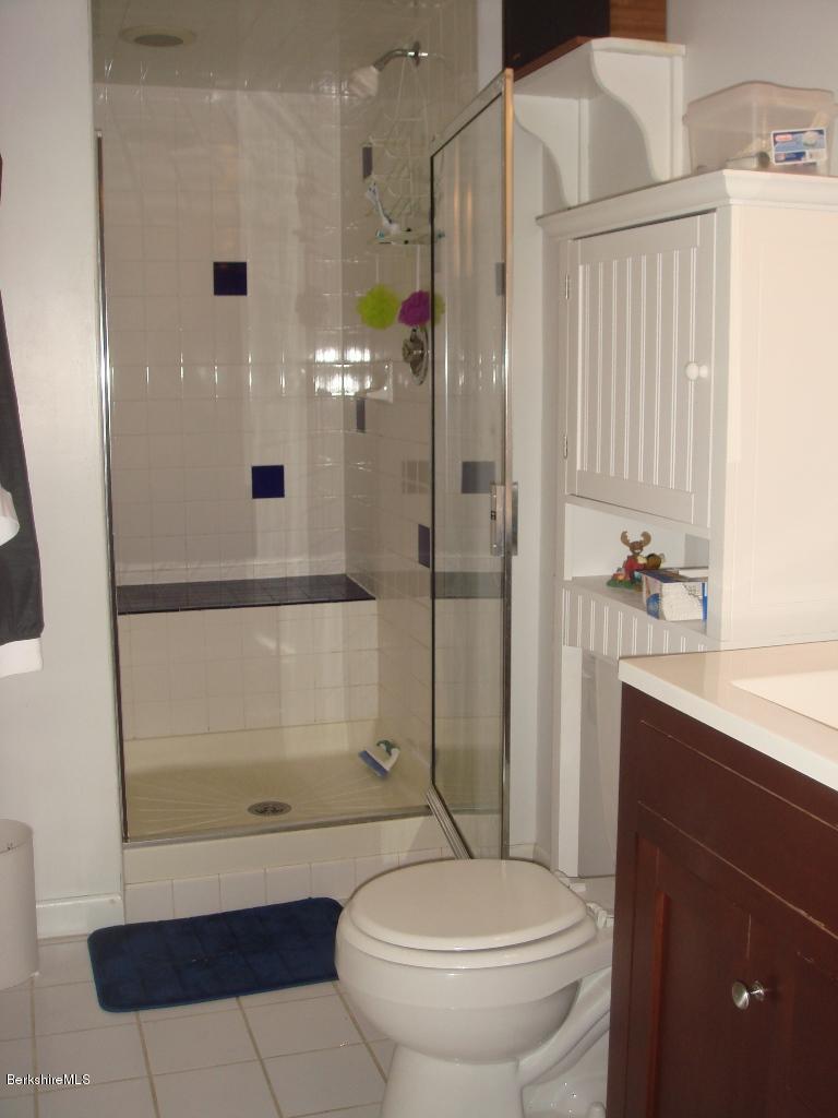 608 Henderson Road Williamstown, MA 01267 - Photo 23 of 28 Lower level bath