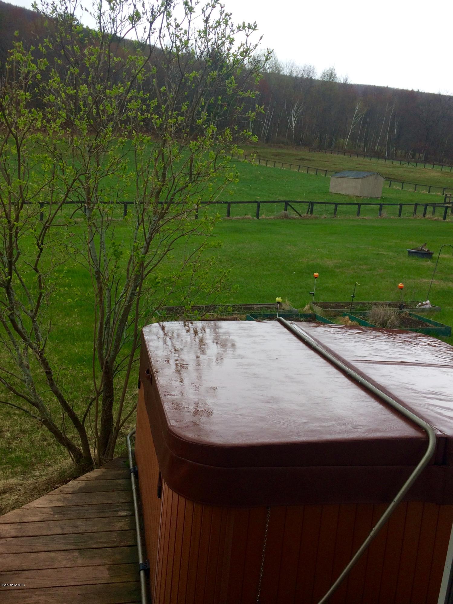 608 Henderson Road Williamstown, MA 01267 - Photo 28 of 28 Hot tub, view