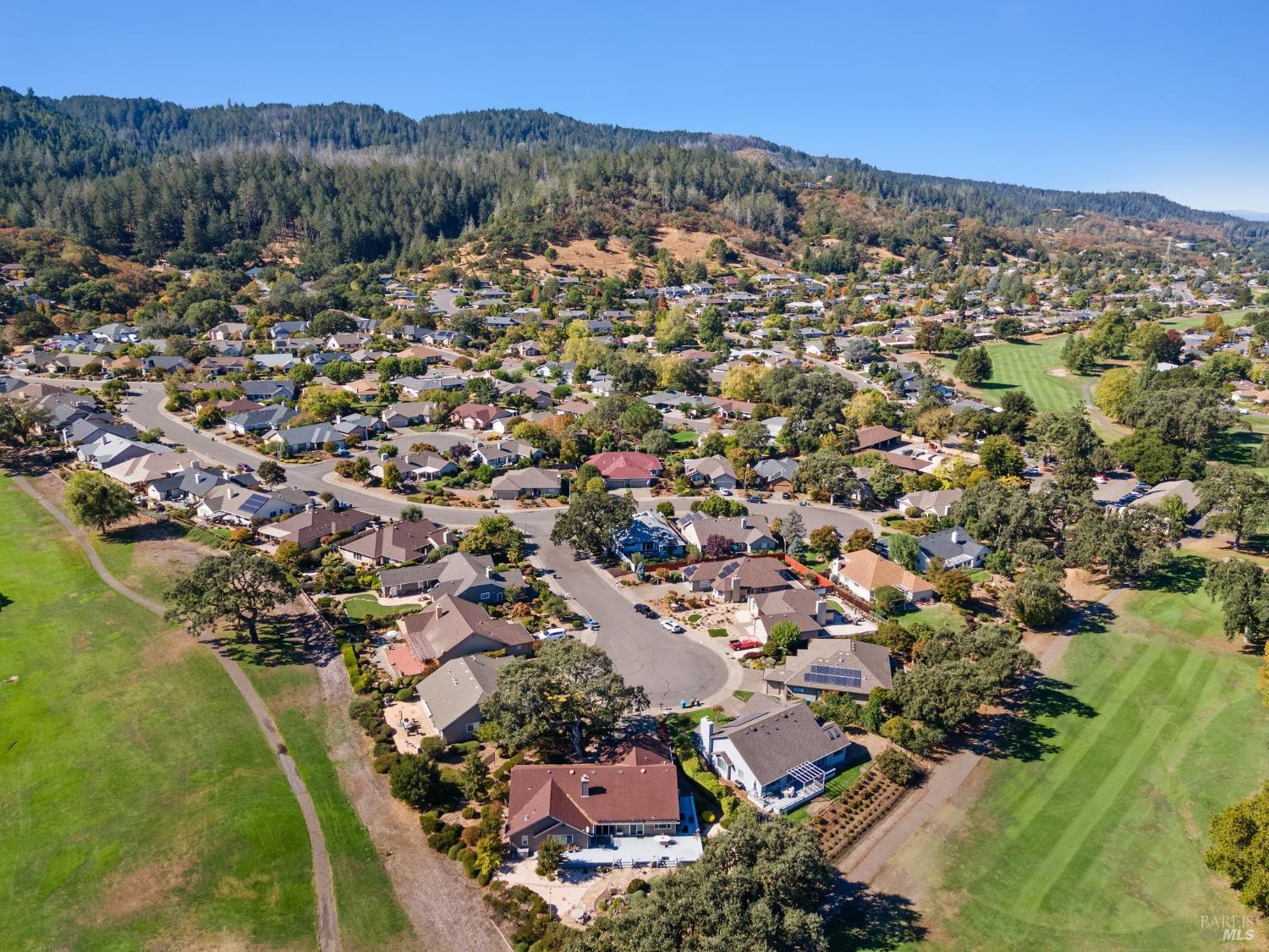 an aerial view of residential houses with outdoor space and trees