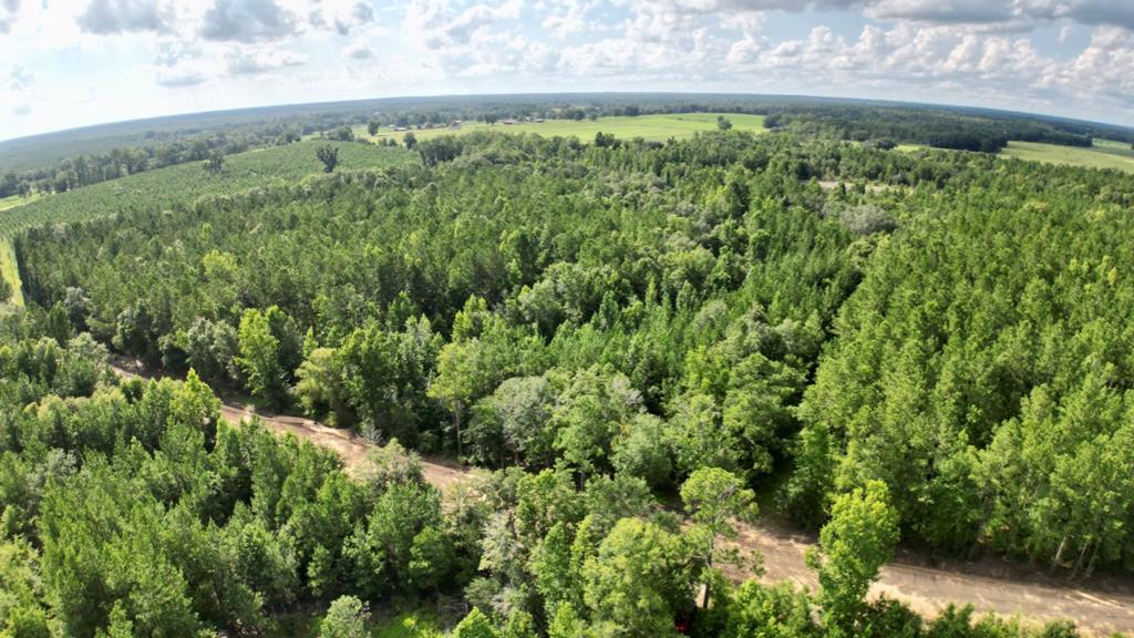0 Barnes Road Gordon, AL 36343 - Photo 9 of 21