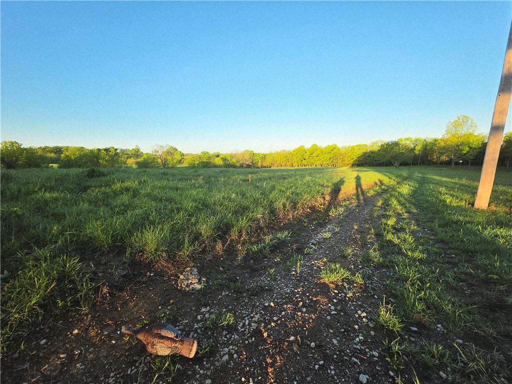 1112 Southwest 21st Road Chilhowee, MO 64733 - Photo 17 of 21