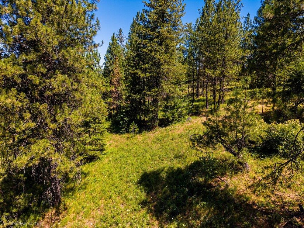 10307 Jasmine Lane Chattaroy, WA 99003 - Photo 24 of 49