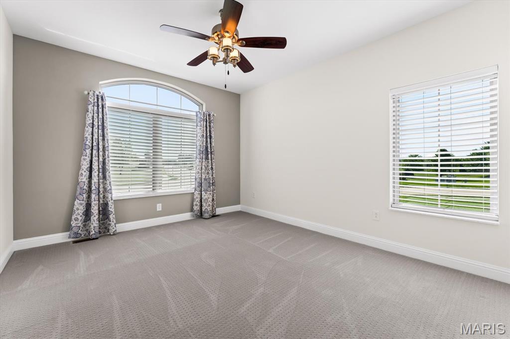701 Williams Landing Waterloo, IL 62298 - Photo 34 of 68