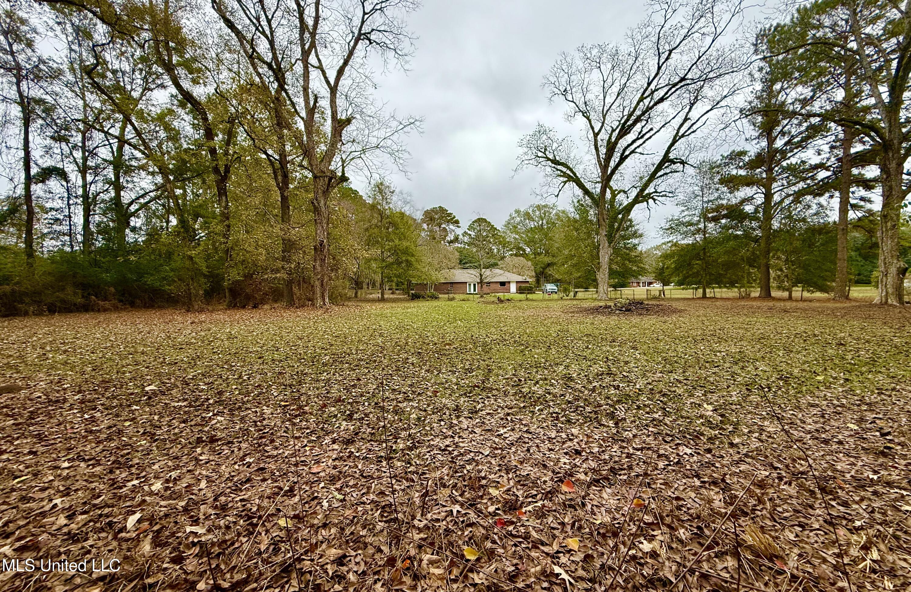 8105 Centerville Road Magnolia, MS 39652 - Photo 21 of 36 IMG_3258