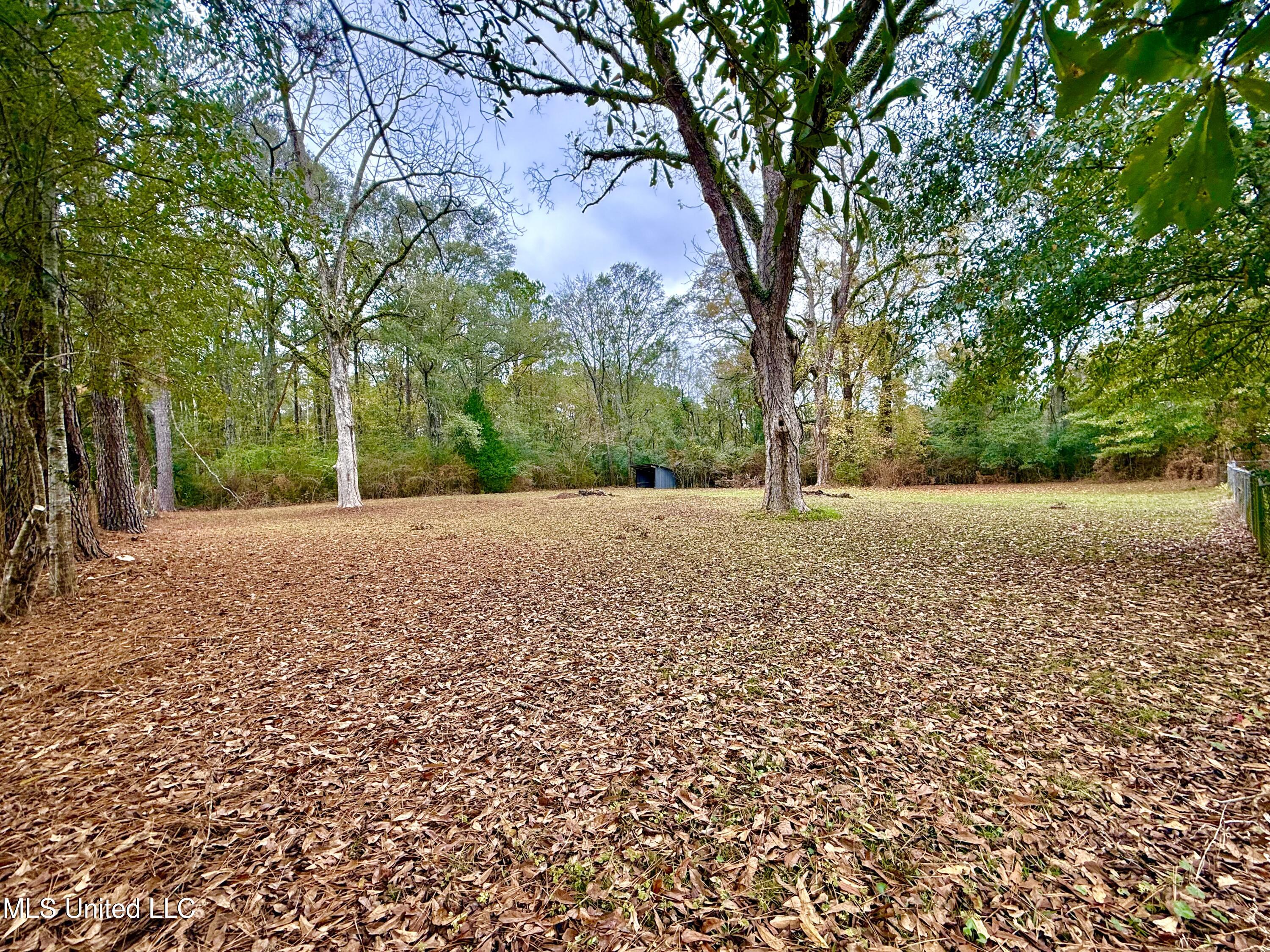 8105 Centerville Road Magnolia, MS 39652 - Photo 23 of 36 IMG_3256