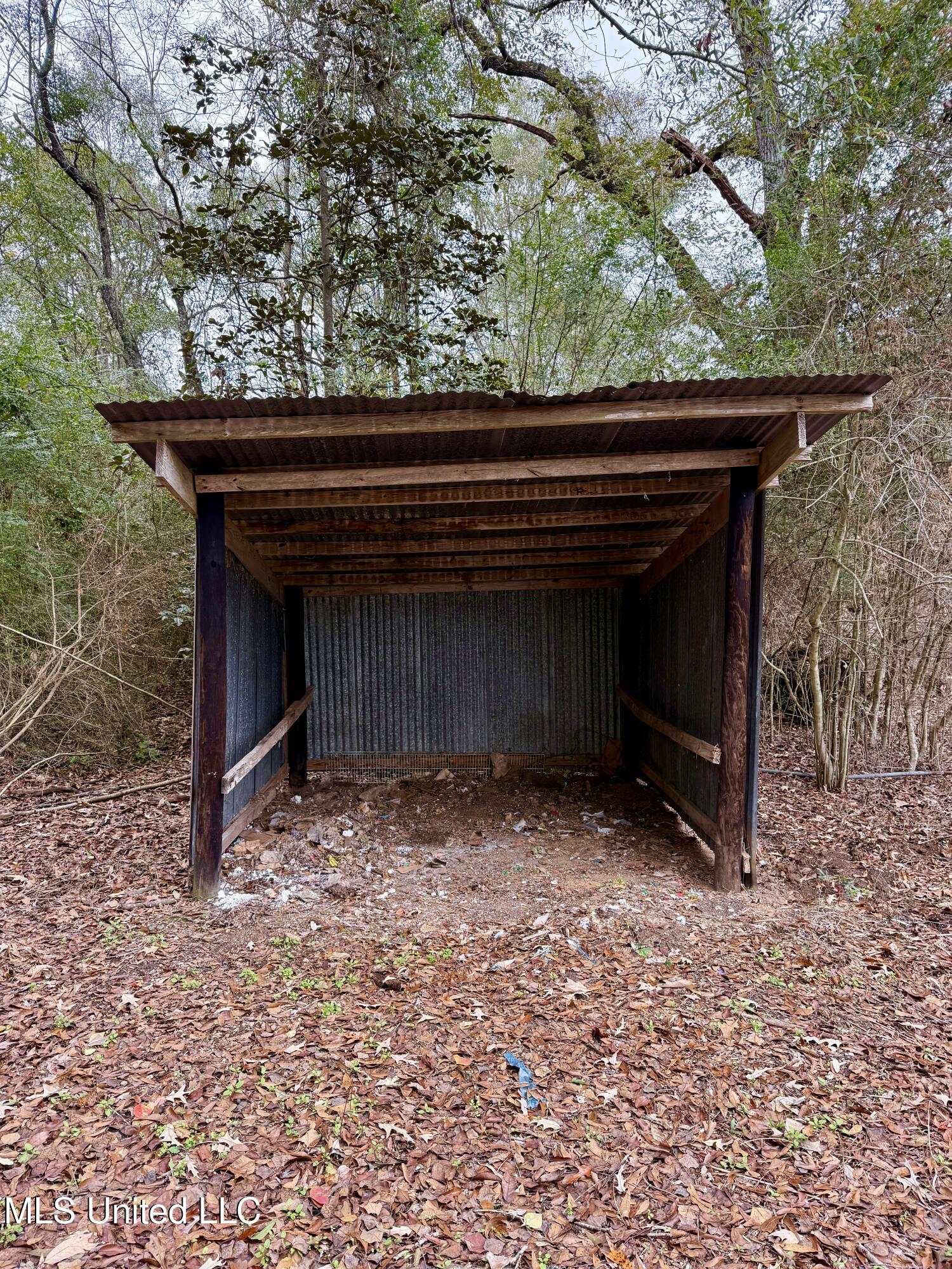 8105 Centerville Road Magnolia, MS 39652 - Photo 24 of 36 IMG_3257