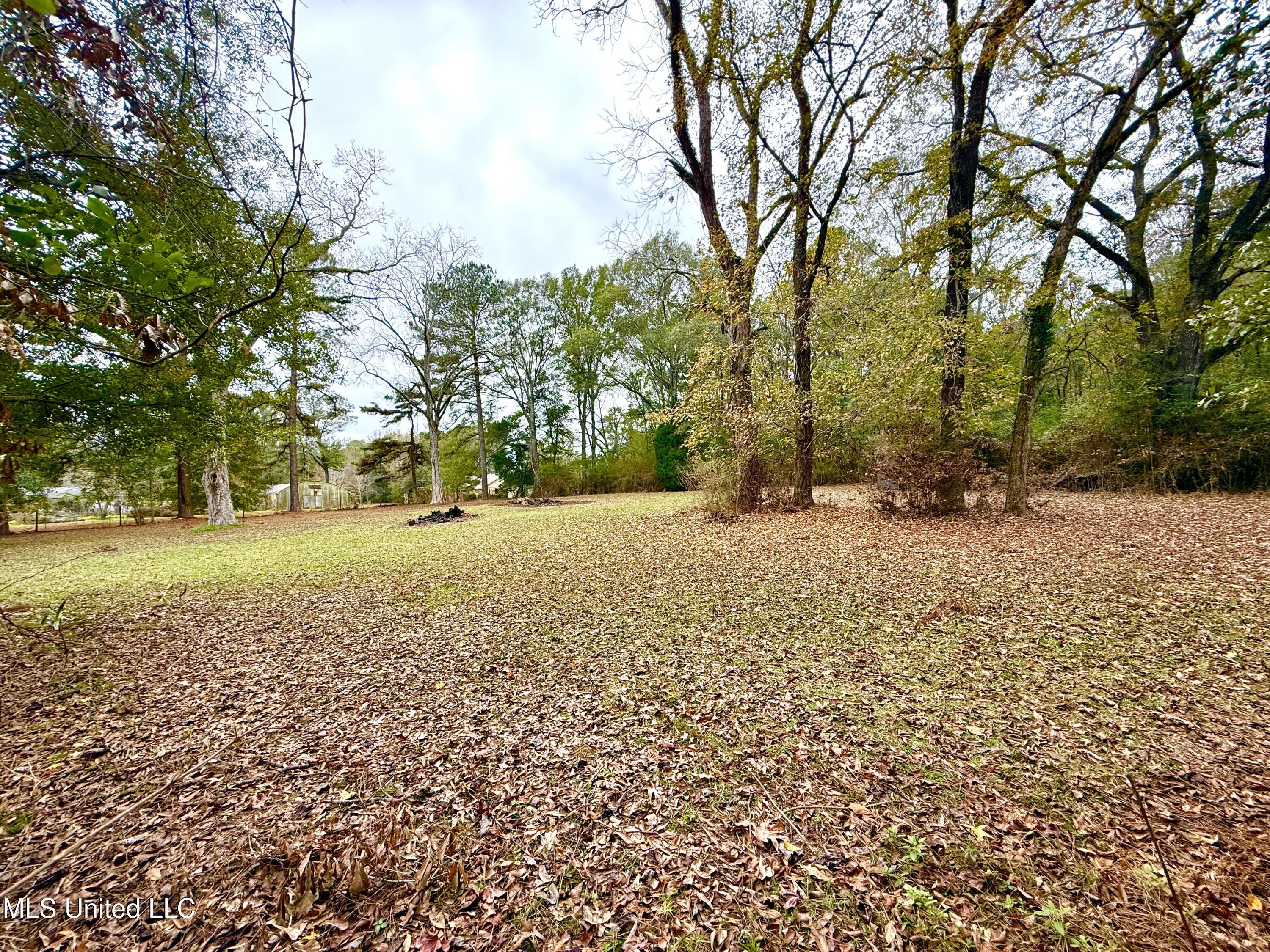 8105 Centerville Road Magnolia, MS 39652 - Photo 25 of 36 IMG_3254
