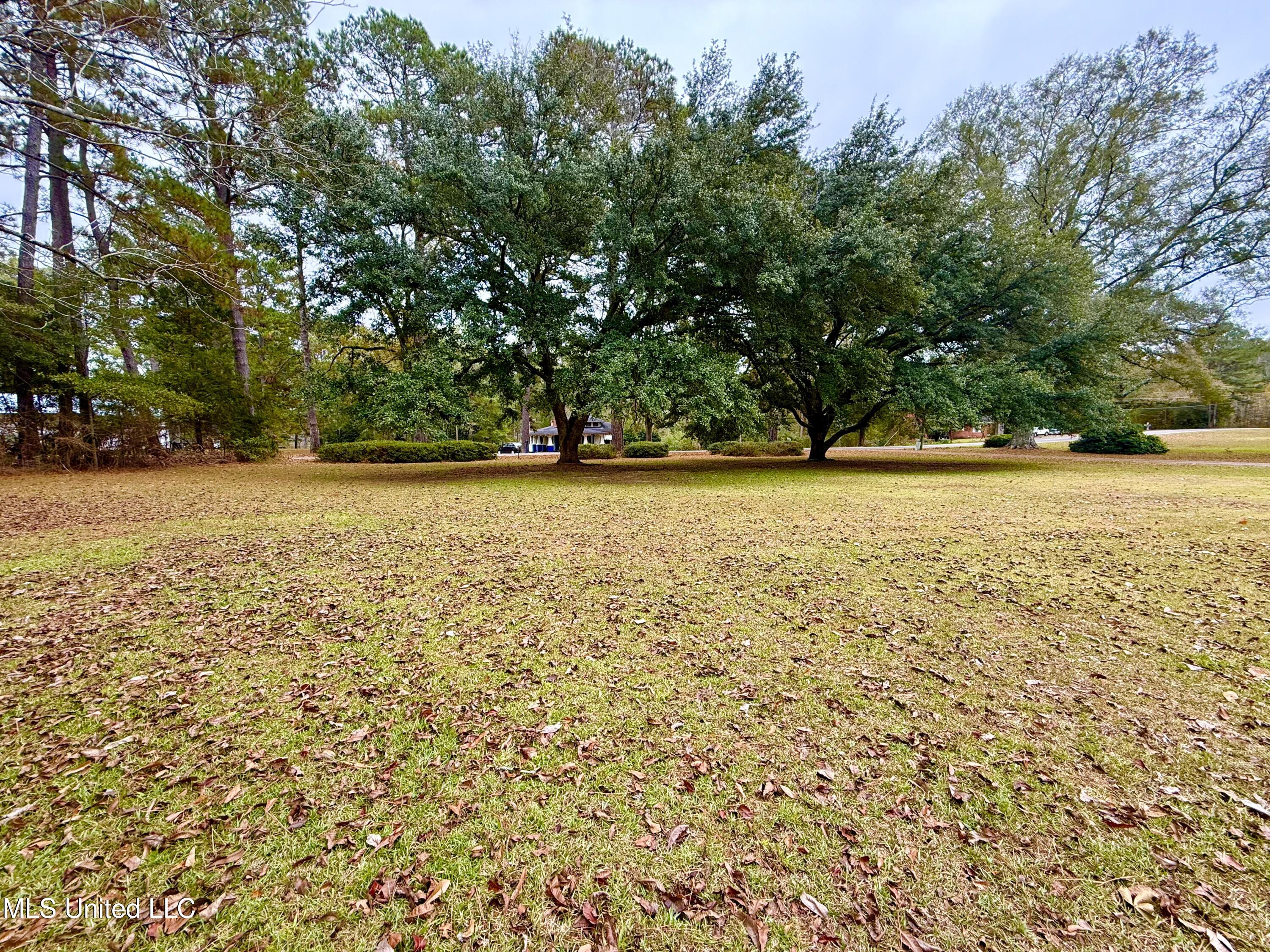 8105 Centerville Road Magnolia, MS 39652 - Photo 29 of 36 IMG_3249