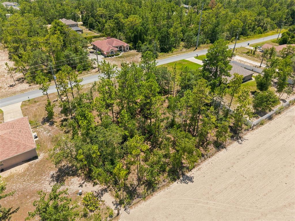 2 Ruffed Grouse Road Weeki Wachee, FL 34614 - Photo 8 of 11