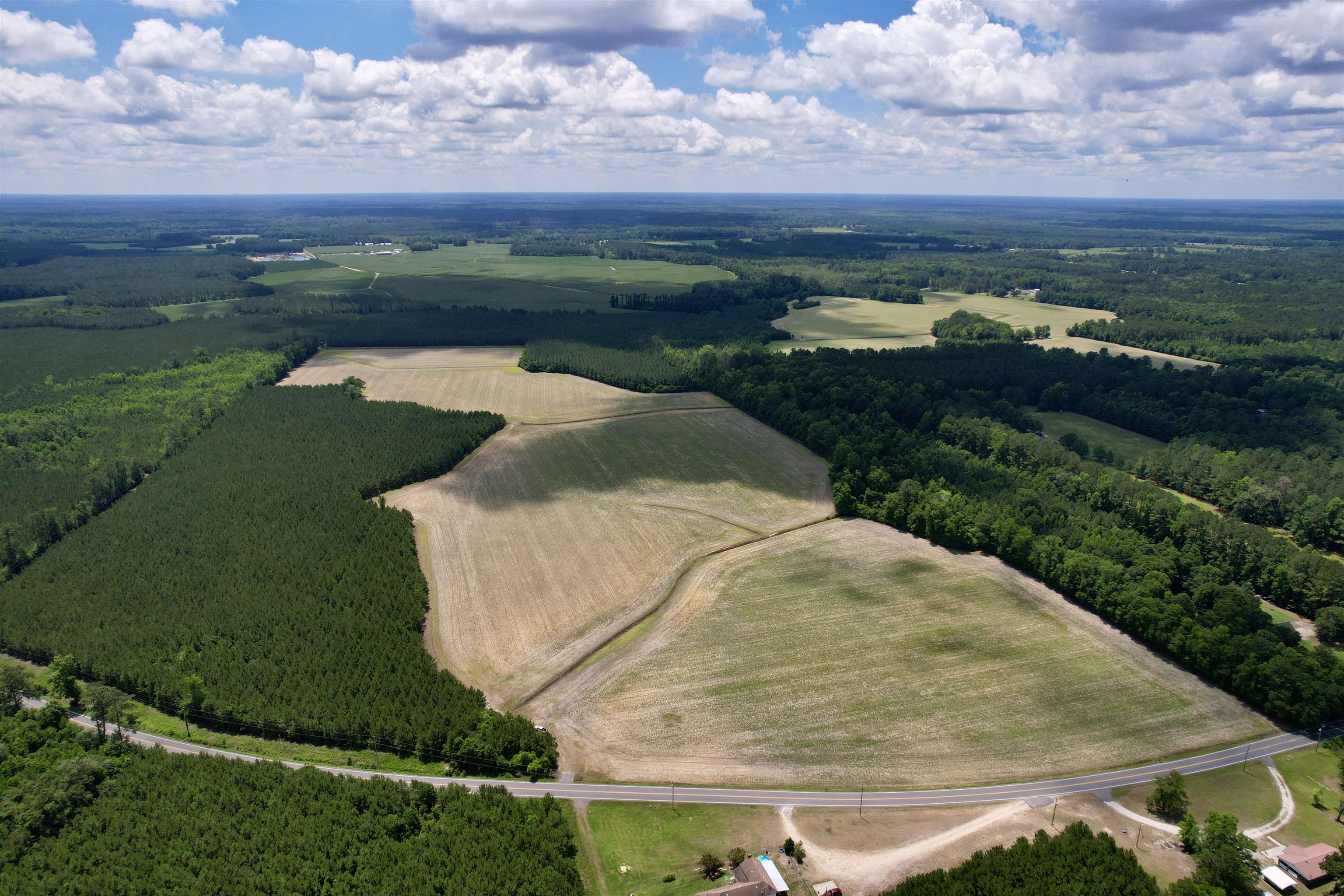 83.03-acres - Birch Creek Road Andrews, SC 29510 - Photo 3 of 25